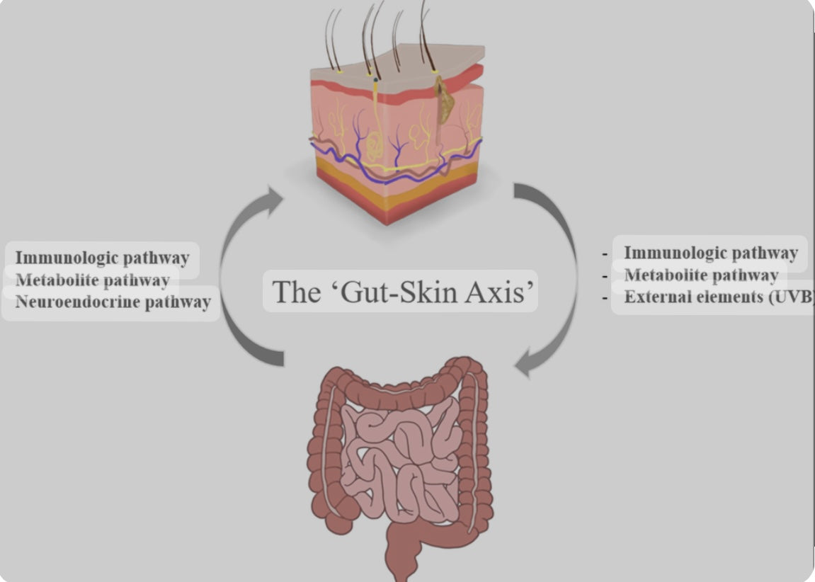 The Gut-Skin Connection: Unlocking the Secrets to Holistic Health